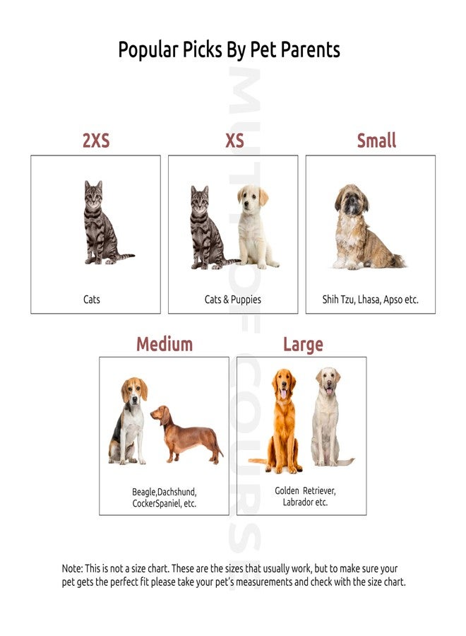 Mutt of Course طوق فيل هندي ملكي للكلاب (صغير) - Image 5
